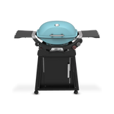 Q 2800N+ Gas Grill with Stand (Liquid Propane)
