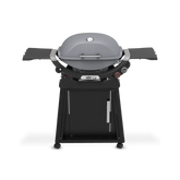 Q 2800N+ Gas Grill with Stand (Liquid Propane)