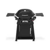 Q 2800N+ Gas Grill with Stand (Liquid Propane)