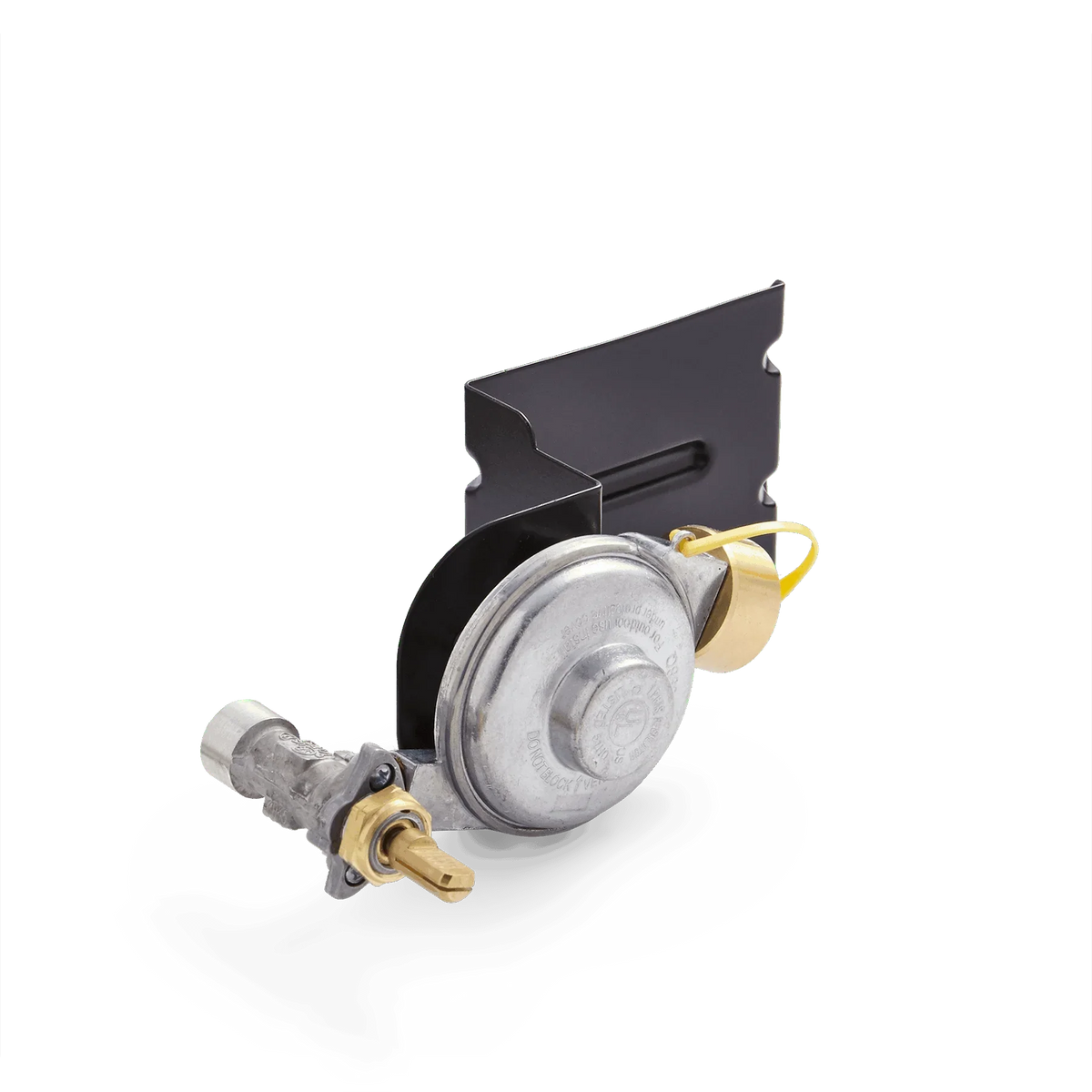 Gas Valve and Regulator Assembly